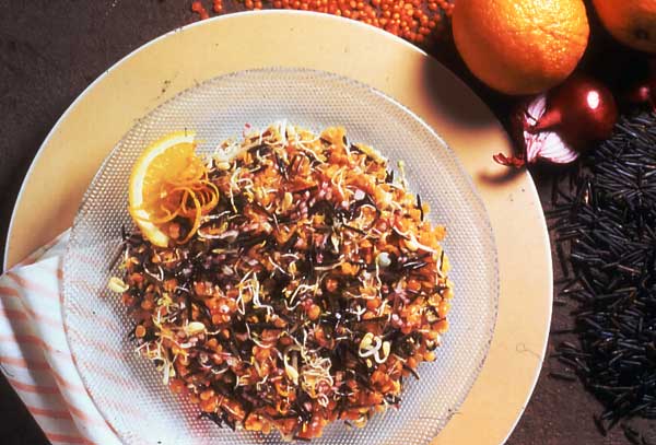 Lentil Wild Rice Salad with Bean Sprouts